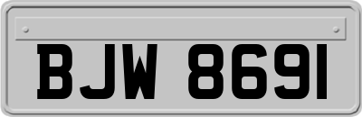 BJW8691