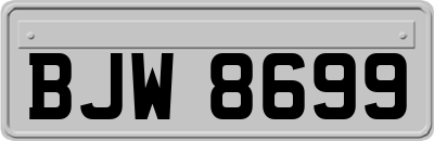 BJW8699