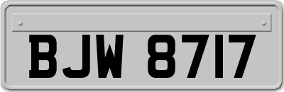 BJW8717