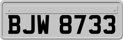 BJW8733