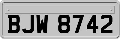 BJW8742