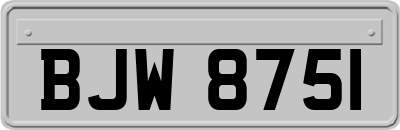 BJW8751