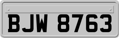 BJW8763