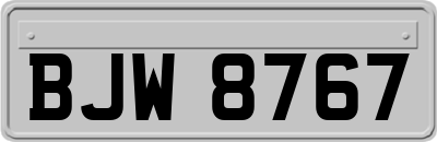 BJW8767