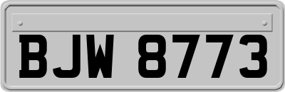 BJW8773