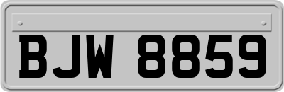 BJW8859