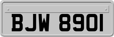 BJW8901