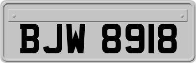 BJW8918