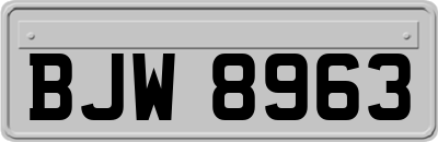 BJW8963