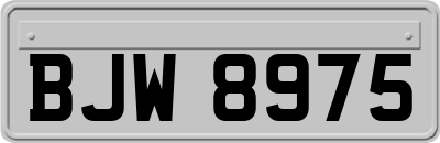 BJW8975