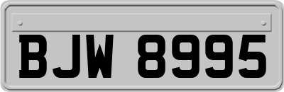 BJW8995