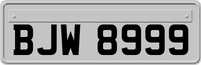 BJW8999