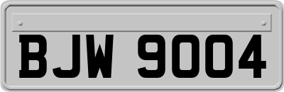 BJW9004