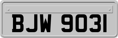 BJW9031