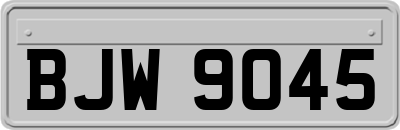 BJW9045