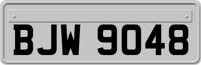 BJW9048