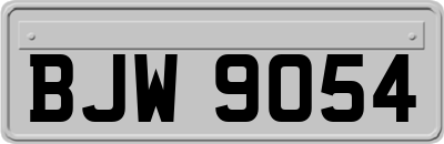 BJW9054