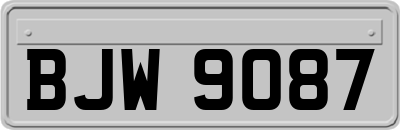 BJW9087