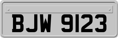BJW9123
