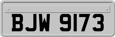 BJW9173