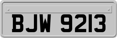 BJW9213