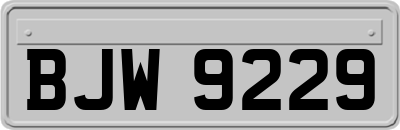 BJW9229