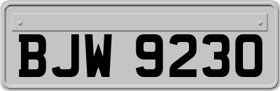 BJW9230