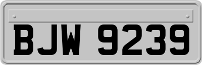 BJW9239
