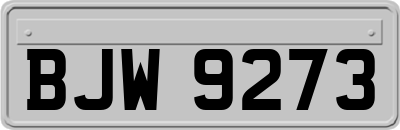 BJW9273
