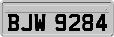 BJW9284