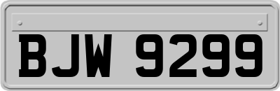 BJW9299