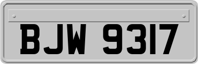 BJW9317