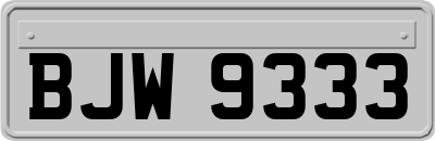 BJW9333