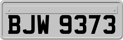 BJW9373
