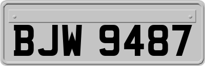 BJW9487