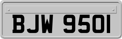 BJW9501