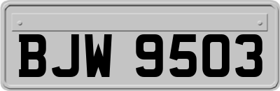 BJW9503