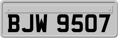 BJW9507