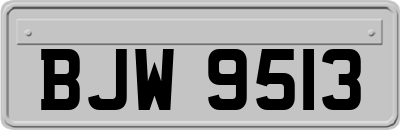 BJW9513