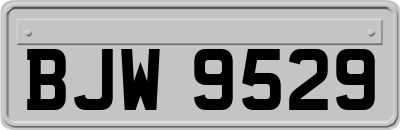 BJW9529