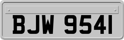 BJW9541