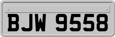 BJW9558