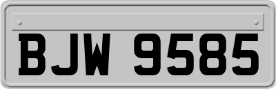 BJW9585
