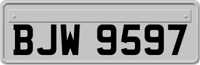 BJW9597