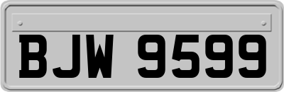BJW9599