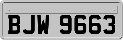 BJW9663