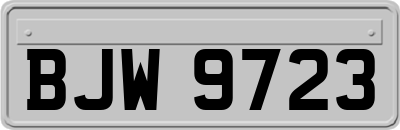BJW9723