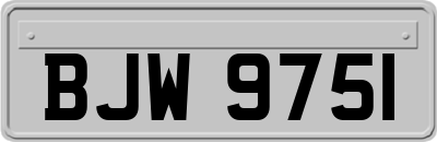 BJW9751