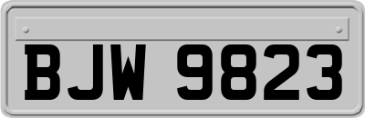 BJW9823