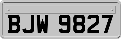BJW9827